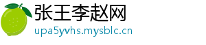 张王李赵网	